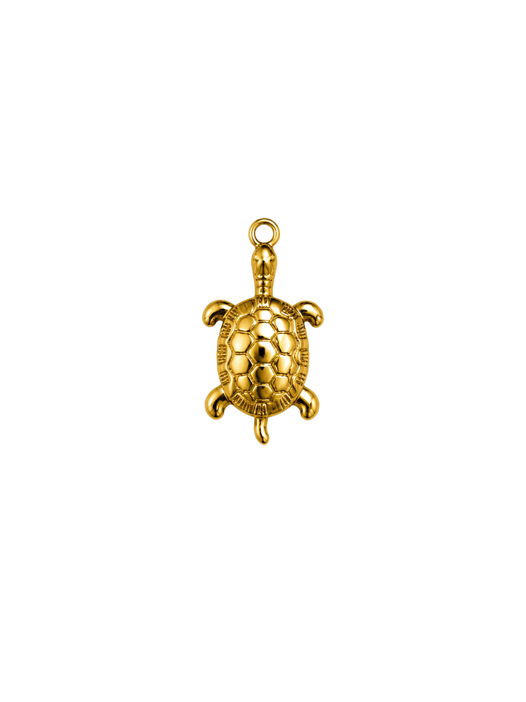 Tortue dorée