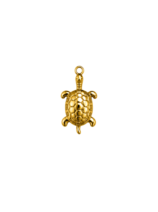 Tortue dorée