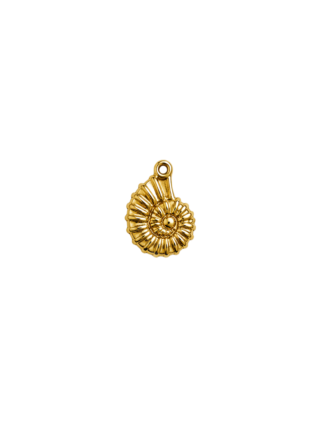 Ammonite