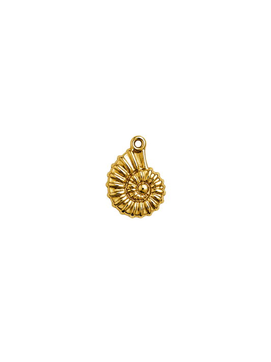Ammonite