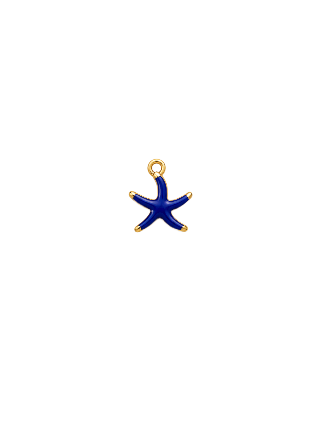Étoile de mer bleue marine