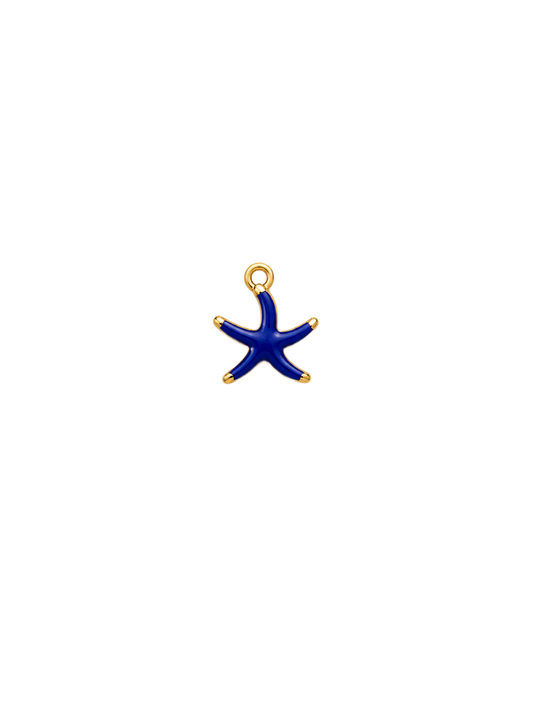 Étoile de mer bleue marine