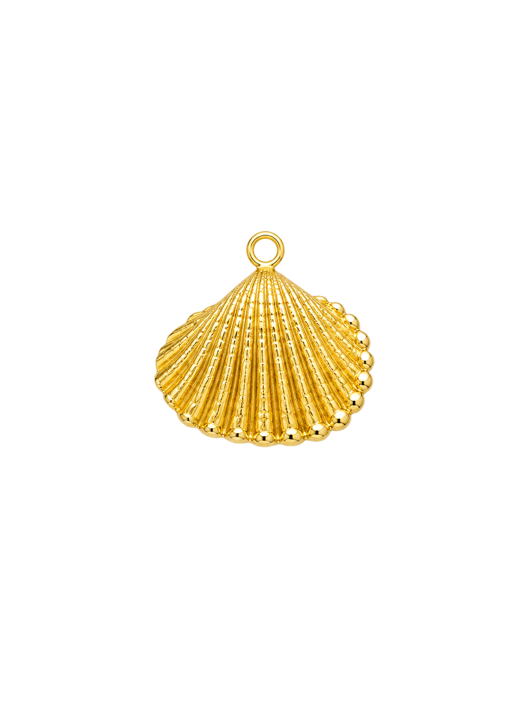 Coquillage doré