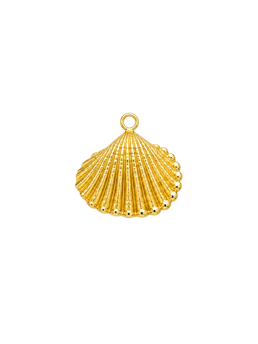 Coquillage doré
