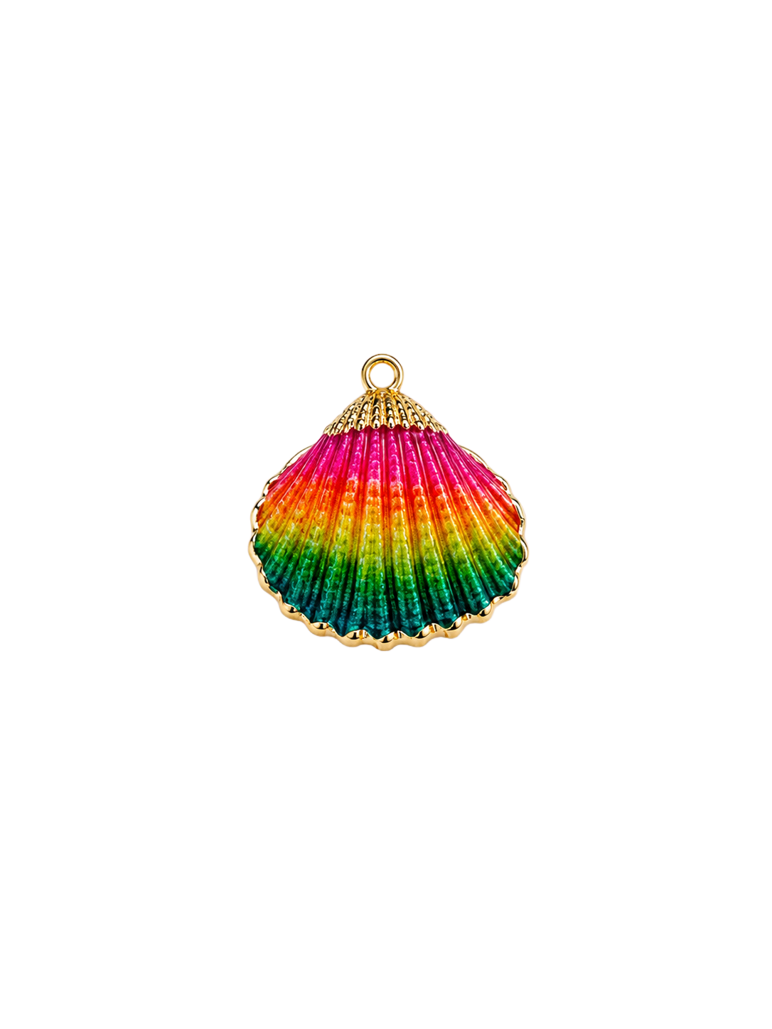 Coquillage multicolore