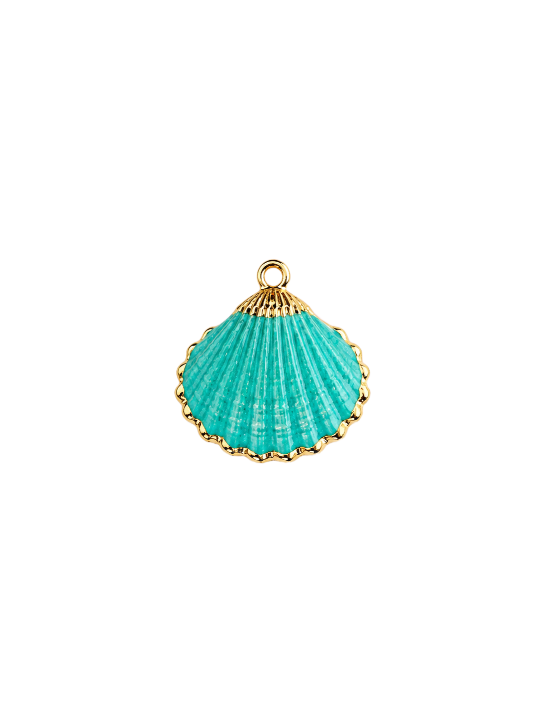 Coquillage turquoise