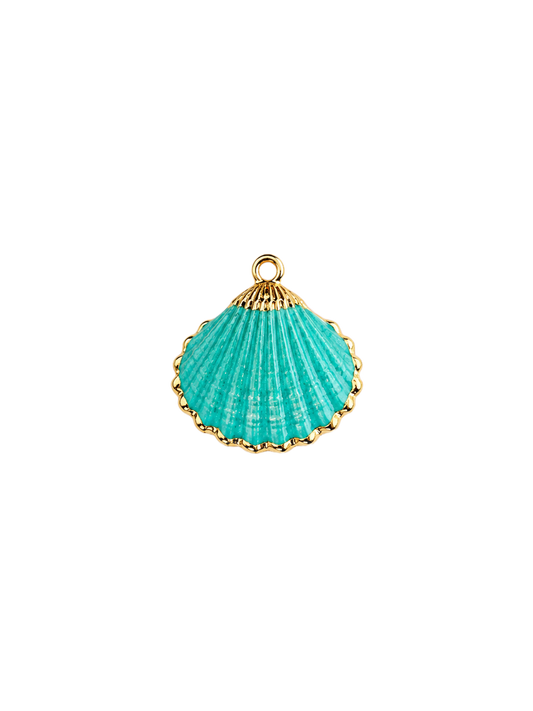 Coquillage turquoise